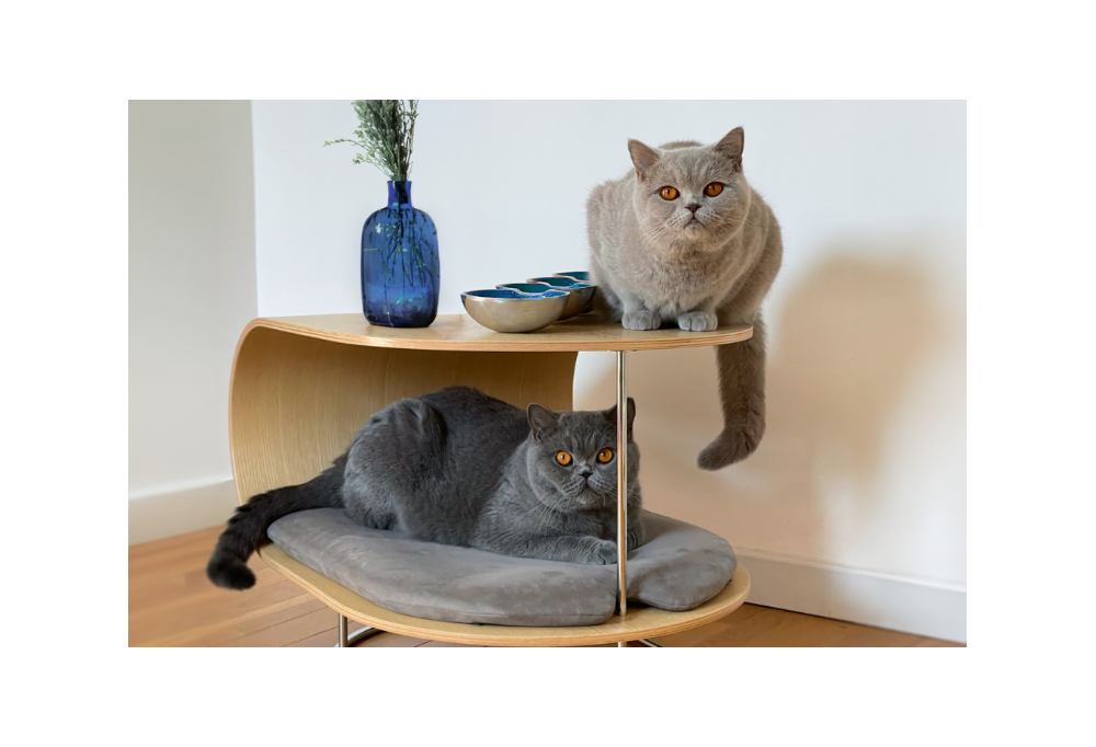 La sélection enchantée de meubles pour chat et chien de Bogarel
